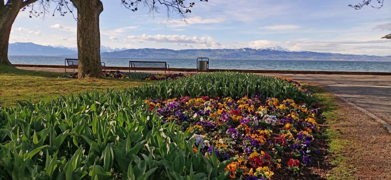 Bodensee Apartments Kressbronn "Haus Am Seepark" Kressbronn am Bodensee Εξωτερικό φωτογραφία