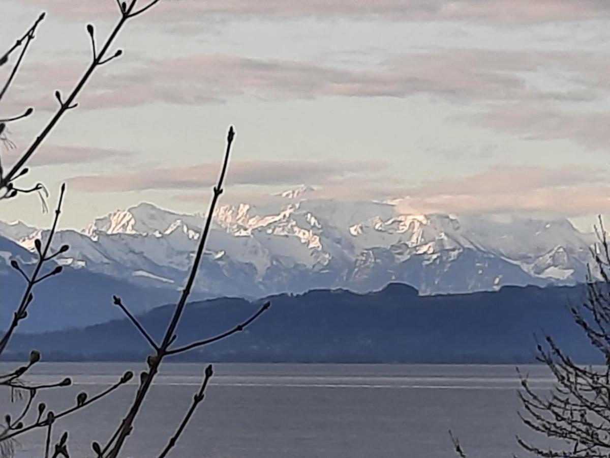 Bodensee Apartments Kressbronn "Haus Am Seepark" Kressbronn am Bodensee Εξωτερικό φωτογραφία